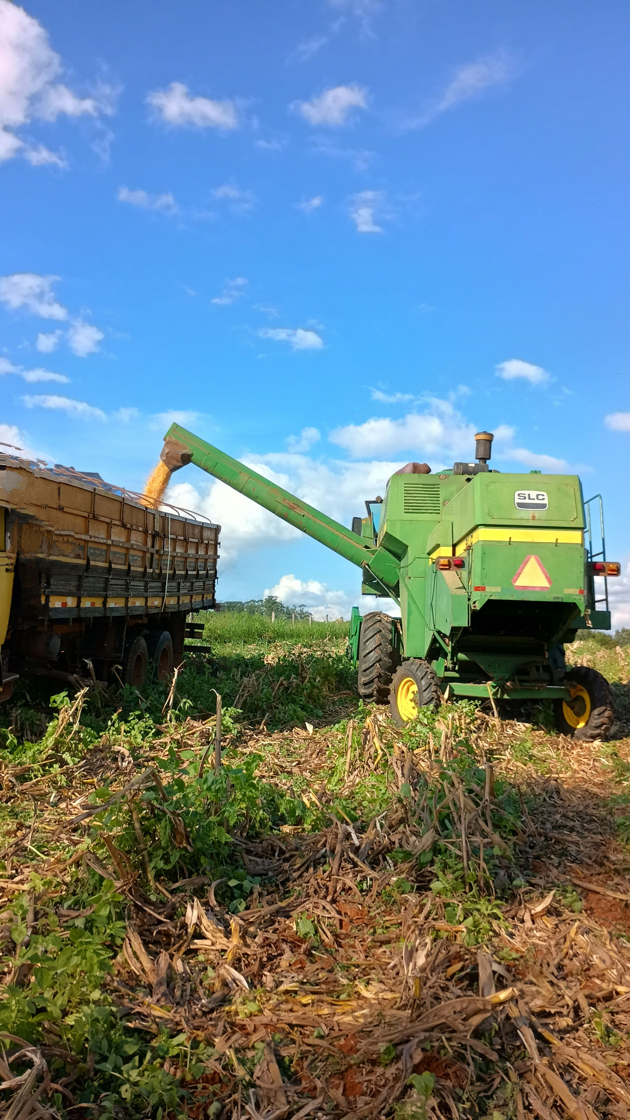 Combine harvester loading grain into truck — large-scale grain harvest for AAI Grains supply chain