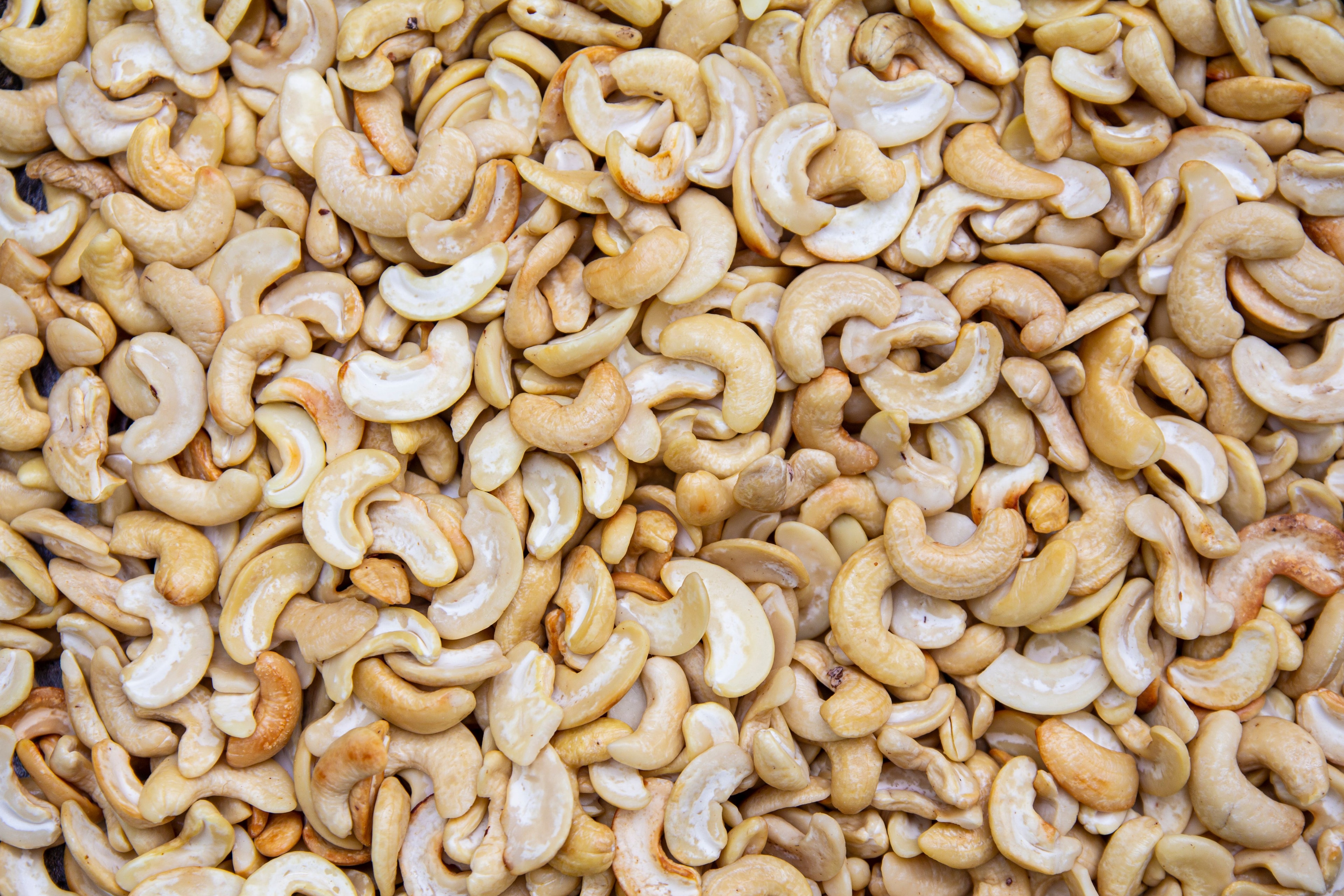 Processed cashew nut kernels — Nigerian cashews for export, W240 and W320 grades
