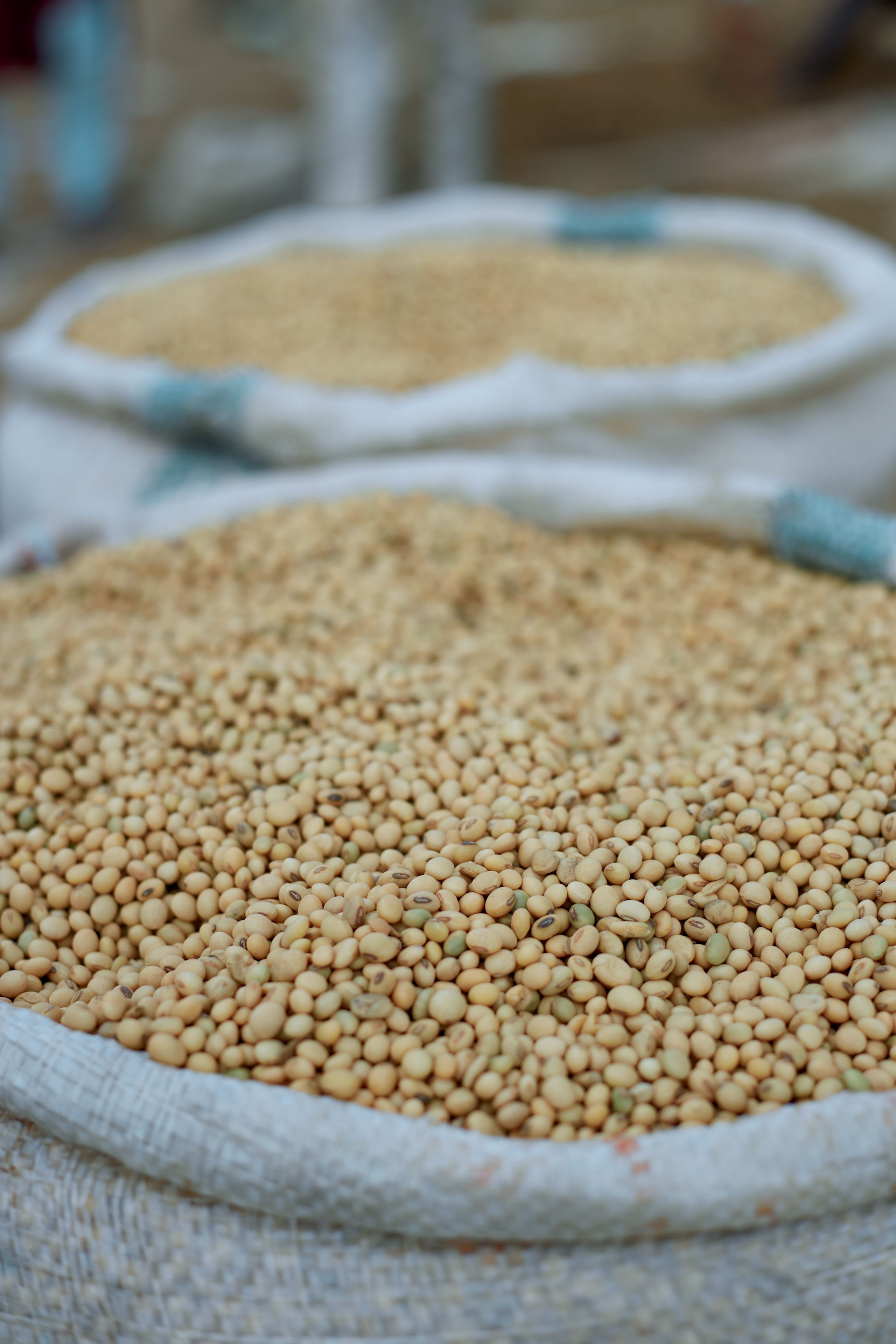 Soya beans in woven market sacks — Nigerian legumes wholesale